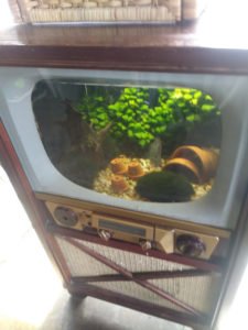 Art piece of a aquarium inside a vintage TV set